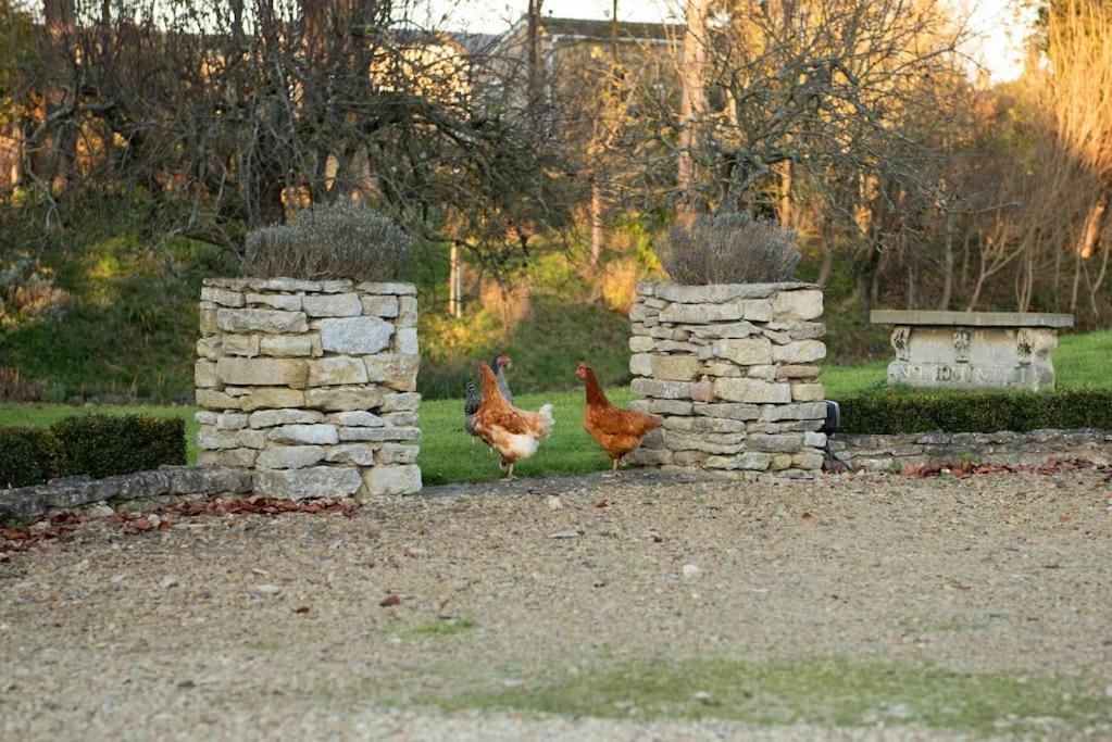 Dove House Cottages - No 1 オックスフォード エクステリア 写真