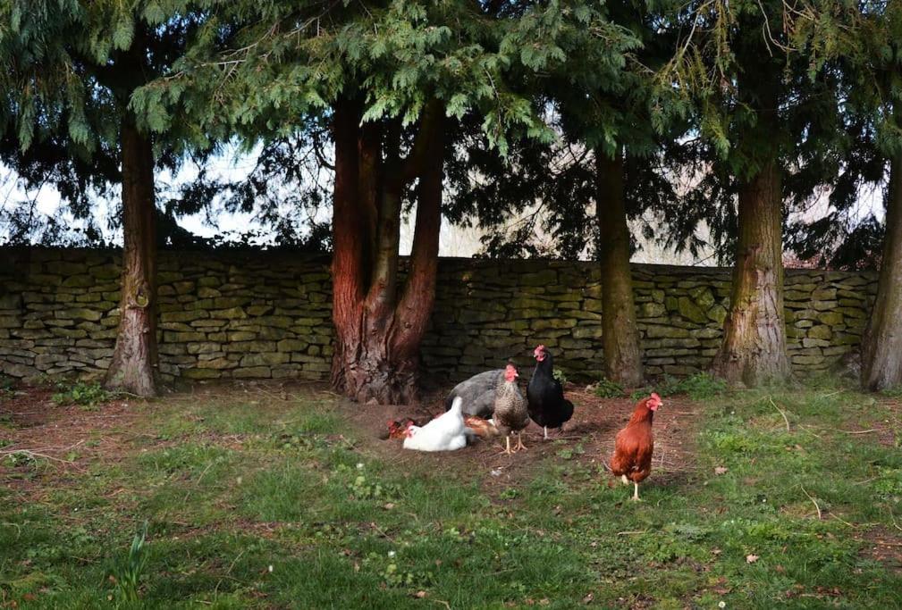 Dove House Cottages - No 1 オックスフォード エクステリア 写真